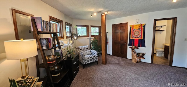 27901 Pine Dr, Evergreen, CO 80439 - sitting room featuring carpet and a textured ceiling
