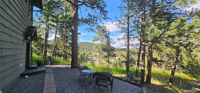 27901 Pine Dr, Evergreen, CO 80439 - view of yard with a patio area