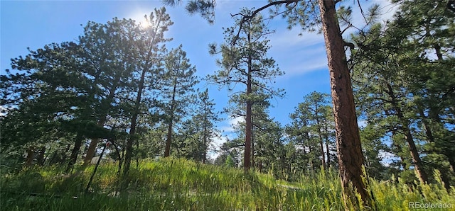 27901 Pine Dr, Evergreen, CO 80439 - view of undeveloped land