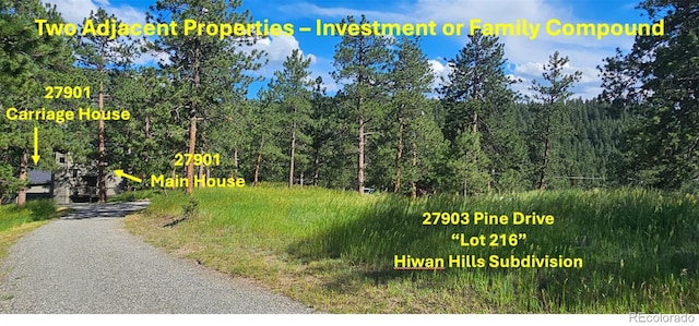 27901 Pine Dr, Evergreen, CO 80439 - view of dirt / gravel road featuring a forest view