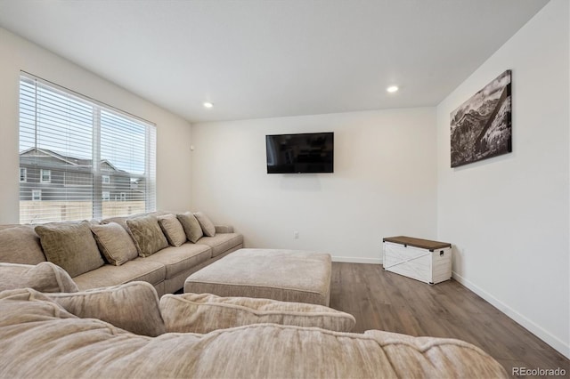 living room with hardwood / wood-style flooring