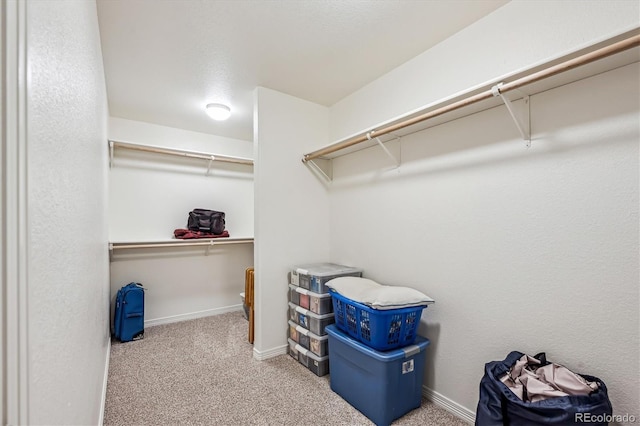 spacious closet with light carpet