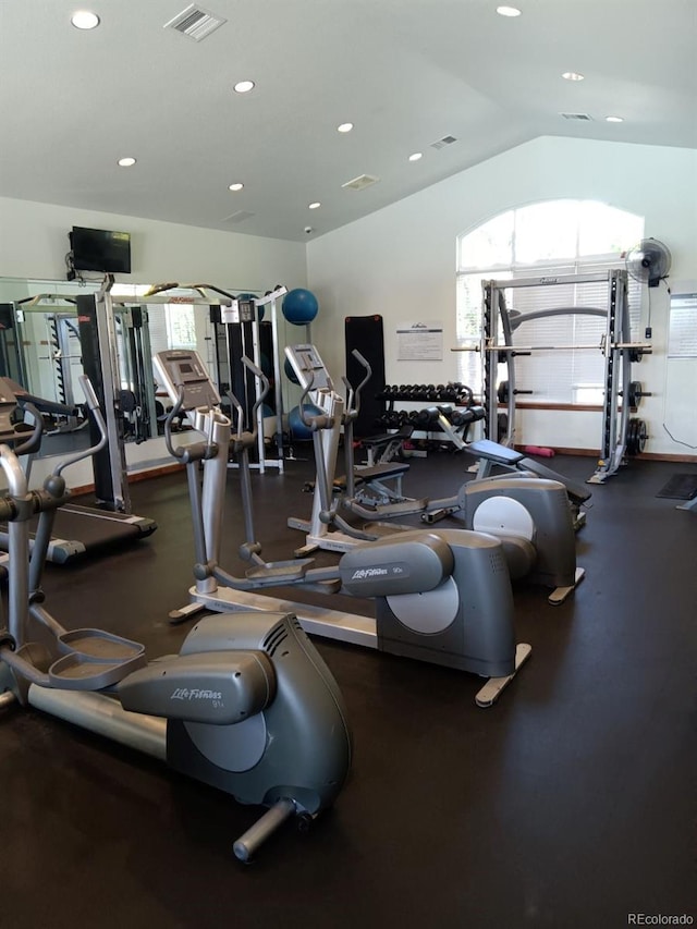 exercise room featuring lofted ceiling and a wealth of natural light