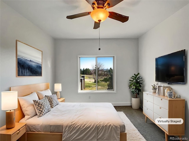 7292 Firethorn, Littleton, CO 80125 - photo 4