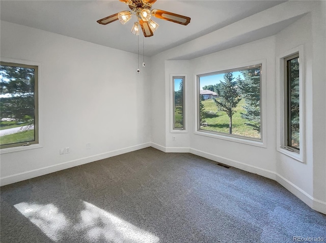 7292 Firethorn, Littleton, CO 80125 - photo 11
