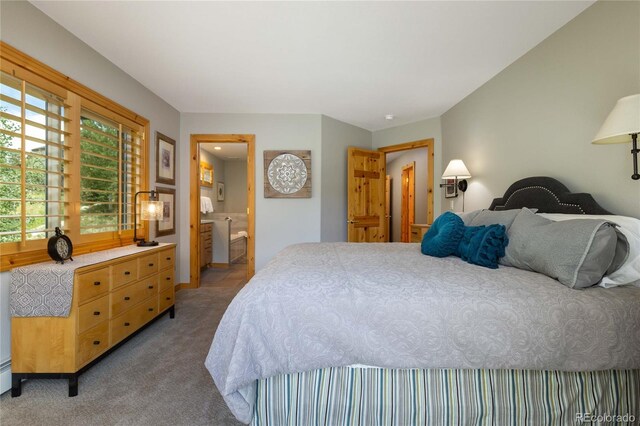 100 River Park Dr Unit A, Breckenridge, CO 80424 - photo 18