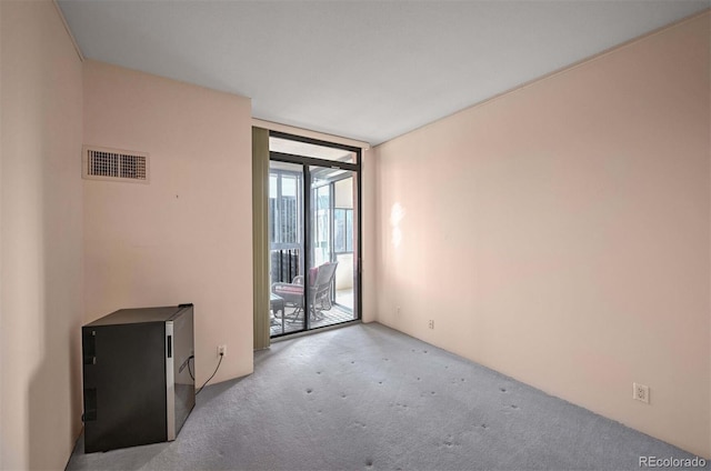 unfurnished room with light carpet and a wall of windows