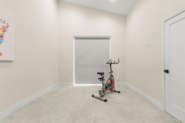 exercise room featuring light colored carpet