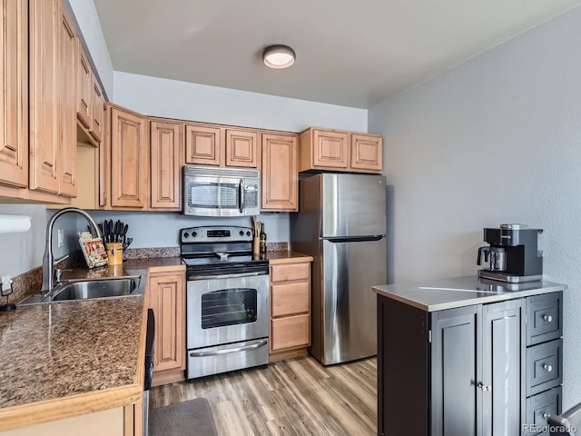 kitchen featuring appliances with stainless steel finishes, a sink, and wood finished floors