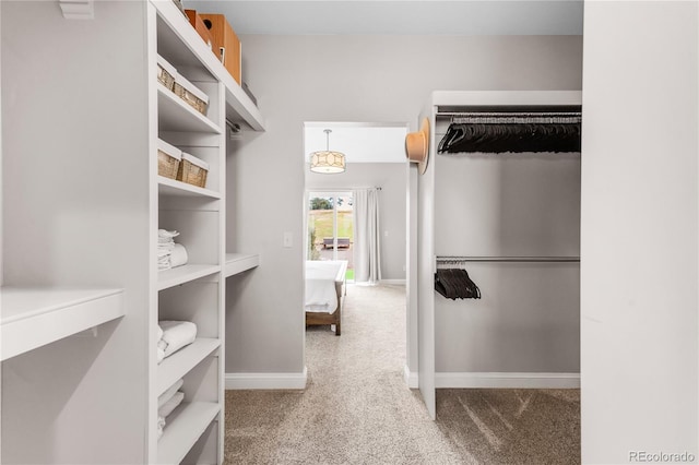 walk in closet with light colored carpet