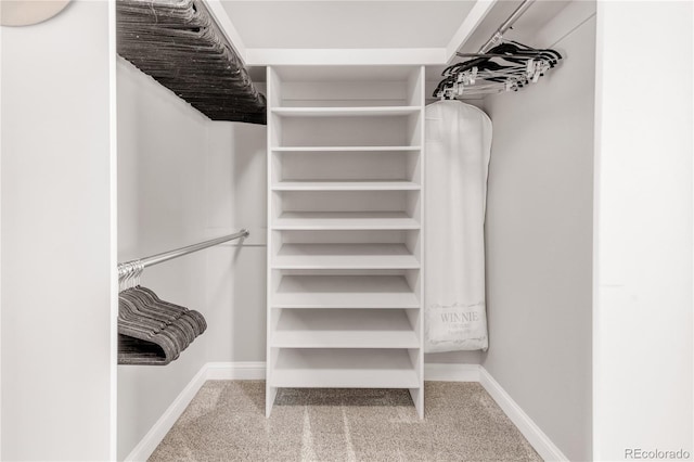 spacious closet featuring carpet flooring