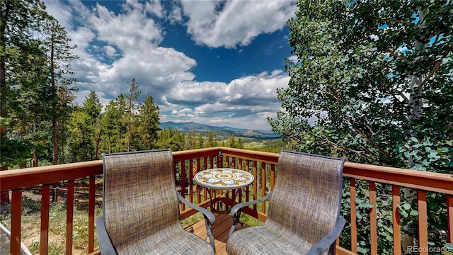 6936 Skunk Aly, Evergreen, CO 80439 - photo 27