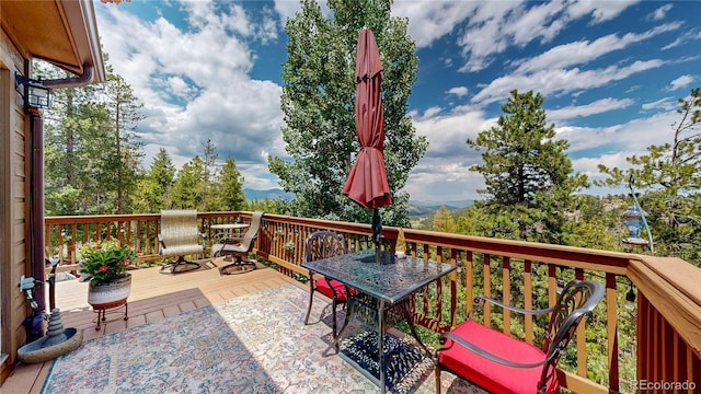 6936 Skunk Aly, Evergreen, CO 80439 - photo 28