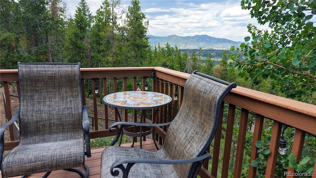 6936 Skunk Aly, Evergreen, CO 80439 - photo 29