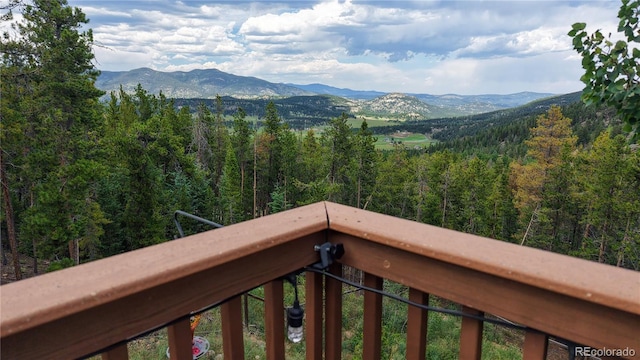 6936 Skunk Aly, Evergreen, CO 80439 - photo 30