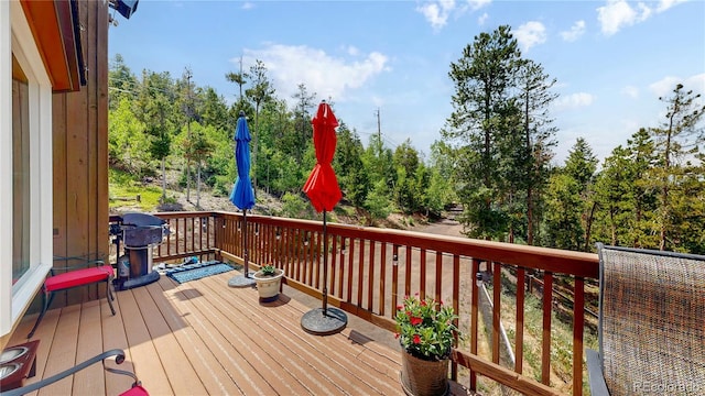 6936 Skunk Aly, Evergreen, CO 80439 - photo 31