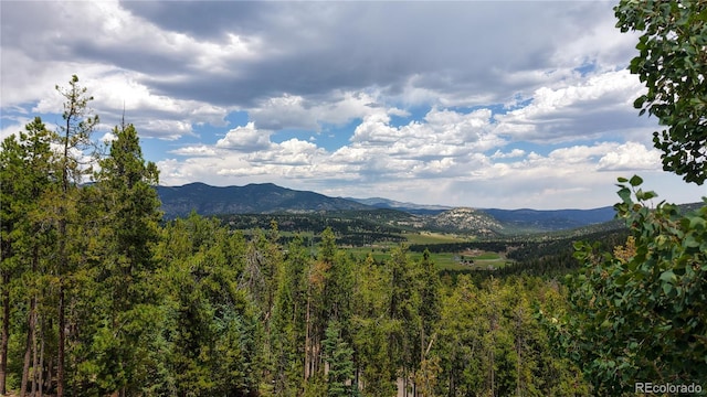 6936 Skunk Aly, Evergreen, CO 80439 - photo 39