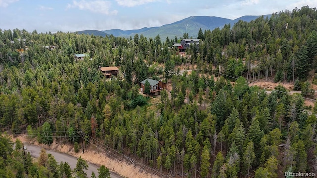 6936 Skunk Aly, Evergreen, CO 80439 - photo 40
