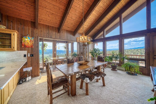 13400 Dry Gulch Rd, Salida, CO 81201 - photo 16