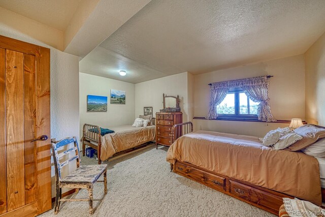 13400 Dry Gulch Rd, Salida, CO 81201 - photo 28