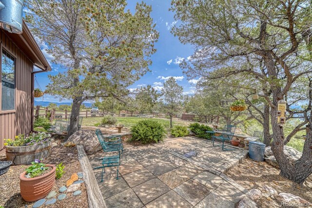 13400 Dry Gulch Rd, Salida, CO 81201 - photo 33