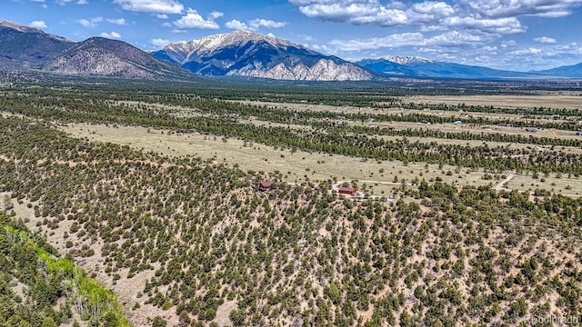 13400 Dry Gulch Rd, Salida, CO 81201 - photo 43