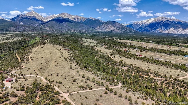 13400 Dry Gulch Rd, Salida, CO 81201 - photo 45