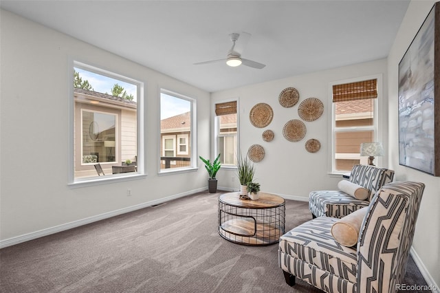 2550 Shadecrest Pl, Highlands Ranch, CO 80126 - photo 24