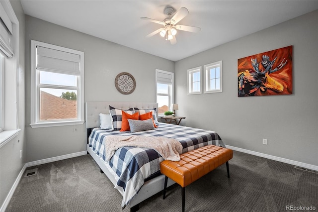 2550 Shadecrest Pl, Highlands Ranch, CO 80126 - photo 42
