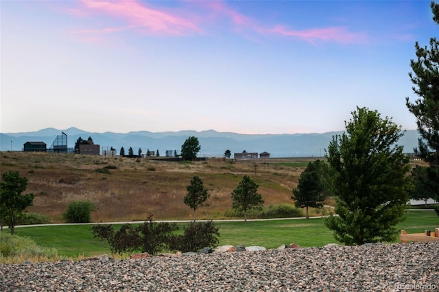 2550 Shadecrest Pl, Highlands Ranch, CO 80126 - photo 44
