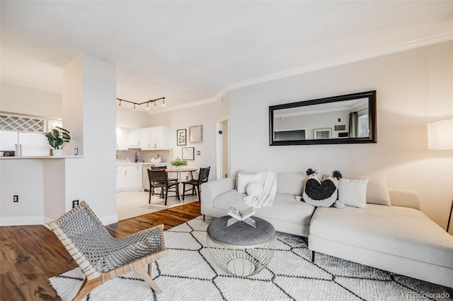 601 W 11th Ave Unit 1101, Denver, CO 80204 - living area with light wood-style flooring, rail lighting, ornamental molding, and baseboards