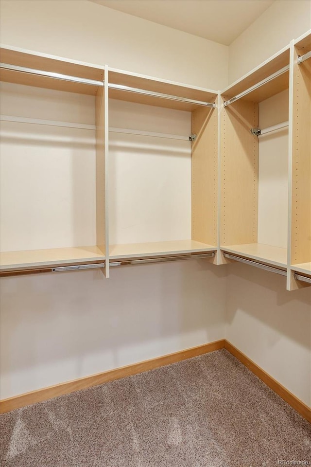 133 Starbuck Cir, Salida, CO 81201 - walk in closet with carpet