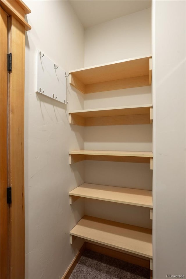 133 Starbuck Cir, Salida, CO 81201 - view of storage area