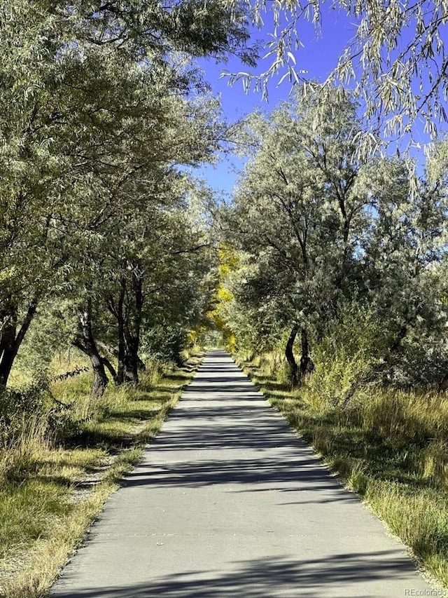 133 Starbuck Cir, Salida, CO 81201 - view of road