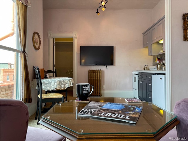 204 N F St Unit D3, Salida, CO 81201 - dining area featuring radiator and baseboards