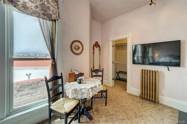 204 N F St Unit D3, Salida, CO 81201 - carpeted dining space featuring radiator and baseboards
