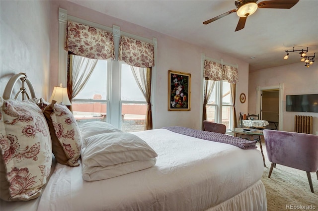 204 N F St Unit D3, Salida, CO 81201 - bedroom with ceiling fan