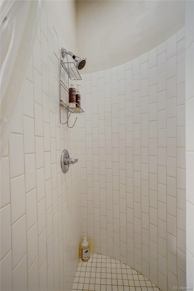204 N F St Unit D3, Salida, CO 81201 - bathroom with tiled shower