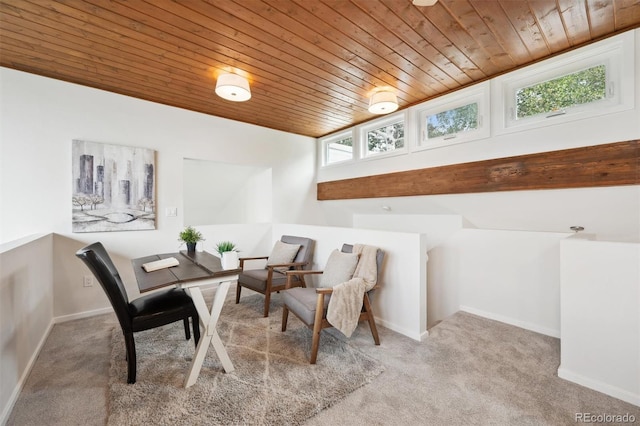 living area featuring wood ceiling, light carpet, and a wealth of natural light