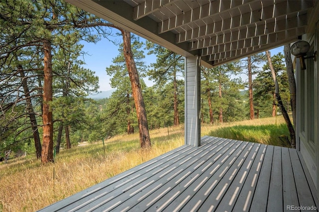 view of wooden terrace