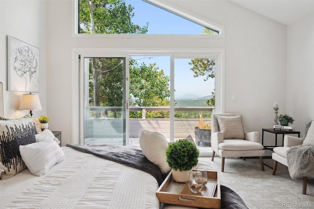 bedroom with carpet and high vaulted ceiling