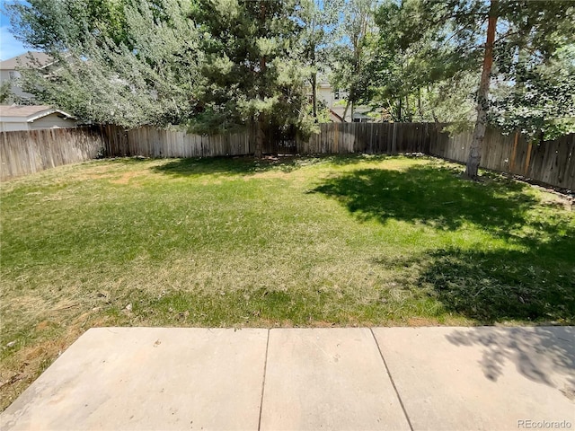 5966 S Winnipeg St, Aurora, CO 80015 - fenced backyard with a patio