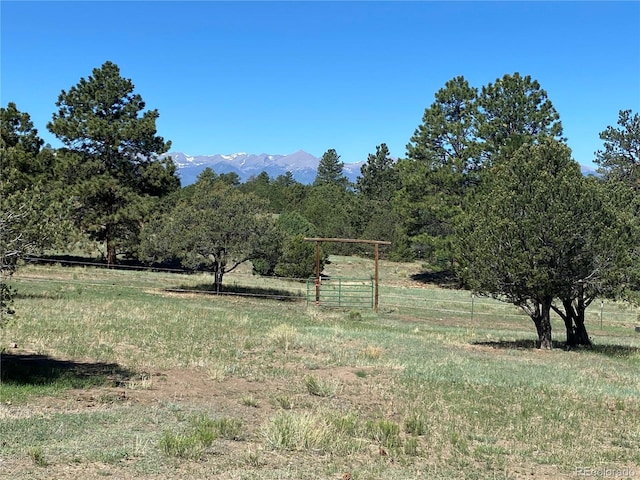 view of mother earth's splendor with a mountain view