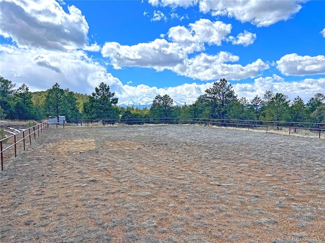 view of yard featuring a rural view