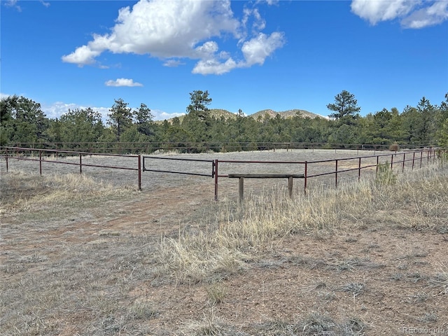 view of yard featuring a rural view