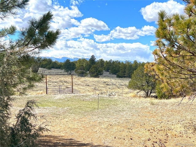 view of yard with a rural view