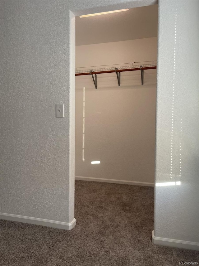 walk in closet with dark carpet