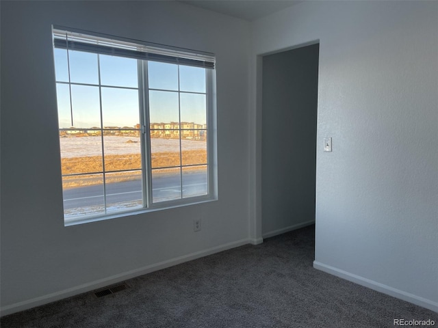 view of carpeted spare room