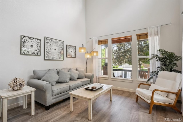 10955 Dearborne Dr, Parker, CO 80134 - living area with wood finished floors and a towering ceiling