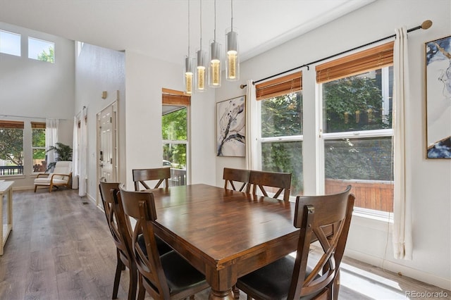 10955 Dearborne Dr, Parker, CO 80134 - dining room with wood finished floors
